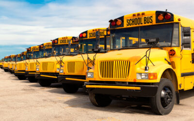 Demystifying Transportation Eligibility